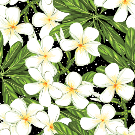 Seamless pattern, background with white plumeria on black background. Hand drawn colorful vector illustration without transparent and gradients.のイラスト素材