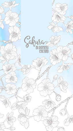 Spring background with blossom brunch of sakura flowers in soft blue color. Template with place for text. Stock vector illustration. Good for gift voucher, card, banner.のイラスト素材