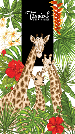 Background with giraffe family and tropical plants. Good for greeting card for birthday, banner for zoo or family party. Vector Illustration.のイラスト素材