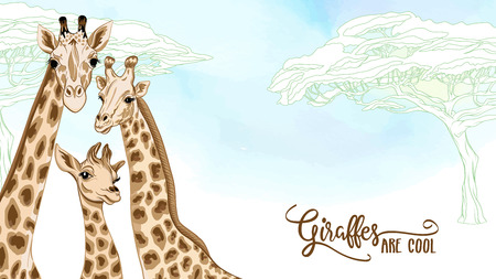Background with giraffe family. Good for greeting card for birthday, invitation or banner of safari, zoo or family party. Vector Illustration.のイラスト素材