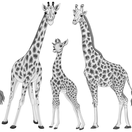 Seamless pattern with giraffe.  Vector illustration.のイラスト素材