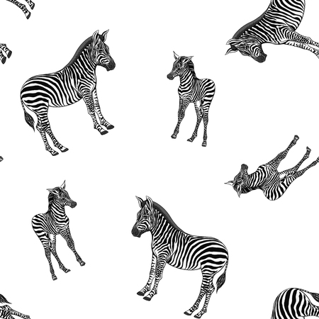 Seamless pattern, background  with adult zebra  and zebra cub. Vector illustration.のイラスト素材