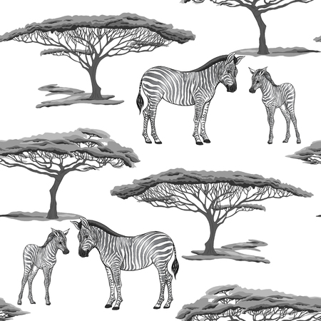 Seamless pattern, background  with adult zebra  and zebra cub. Vector illustration.のイラスト素材