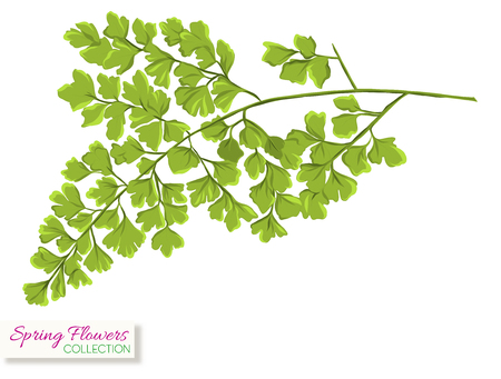 Spring flower branch. Colorful realistic vector illustration. Isolated on white background.のイラスト素材