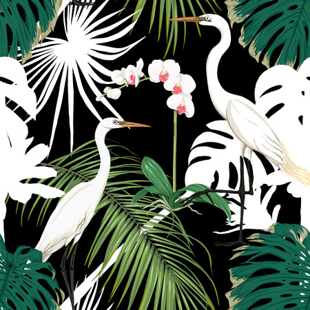 Seamless pattern, background. with tropical plants and flowers with white orchid and tropical birds. Colored and silhouette design. Vector illustration. Isolated on black background.のイラスト素材