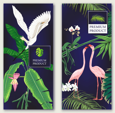 Set of two templates for label for premium product  or cards,Â  invitation, banner  with tropical plants, palm leaves, monsters, orchids and birds. Colored vector illustrationのイラスト素材