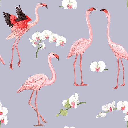 Seamless pattern, background with tropical birds. flamingo  and orchid flower. Colored and outline design on soft grey background.. Vector illustration.のイラスト素材