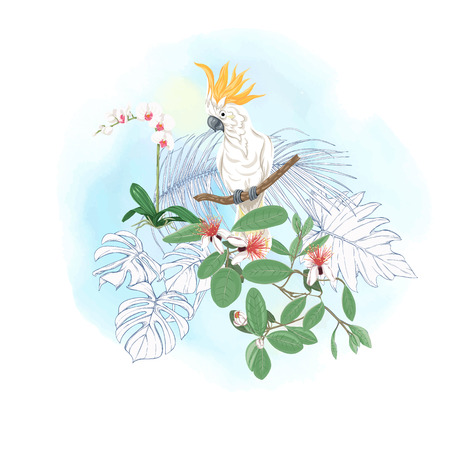 A composition of tropical plants, palm leaves, monsters and white orchids with cockatoo parrot In botanical style. Colored and outline design on watercolor background. Vector illustration.のイラスト素材