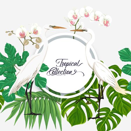 Template for greeting card for birthday,Â  invitation or banner  with tropical plants, palm leaves, monsters and white orchids with white heron. Colored vector illustration.のイラスト素材