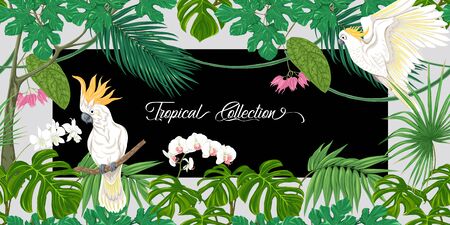 Template for greeting card for birthday,Â  invitation or banner  with tropical plants, palm leaves, monsters and white orchids with cockatoo parrot. Colored vector illustration.のイラスト素材