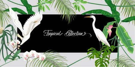 Template for greeting card for birthday,Â  invitation or banner  with tropical plants, palm leaves, monsters and white orchids with white heron. Colored vector illustration.のイラスト素材
