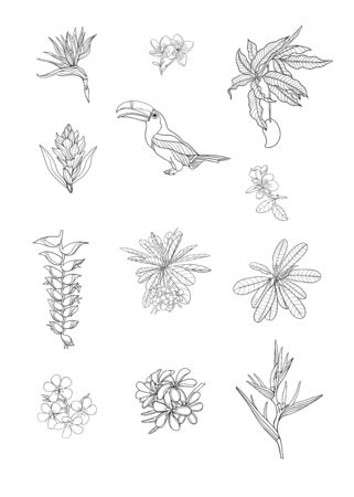 Set of tropical plans, flowers and birds. Stickers, elements for design. Outline hand drawing vector illustration. Isolated on white background.のイラスト素材
