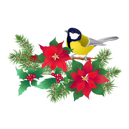 Tit bird - a symbol of winter. Christmas wreath of winter plants. Element for design. Colored vector illustration. Isolated on white background..のイラスト素材