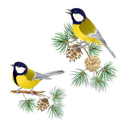 Tit bird - a symbol of winter. Christmas wreath of winter plants. Element for design. Colored vector illustration. Isolated on white background..のイラスト素材