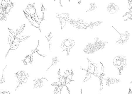 Roses and spring flowers seamless pattern. Outline hand drawing vector illustration.. Vector illustration.のイラスト素材