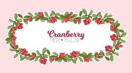 Cranberry. Element for design. Good for product label. Colored vector illustrationのイラスト素材