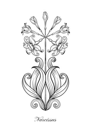 Narcissus. Set of elements for design Outline hand drawing vector illustration. In art nouveau style, vintage, old, retro style..のイラスト素材
