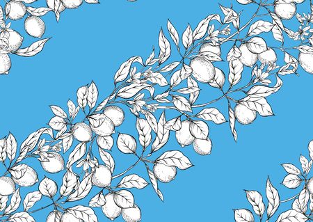 Lemon tree branch with lemons, flowers and leaves. Seamless pattern, background. Outline hand drawing vector illustration in black, white and blue colors.のイラスト素材