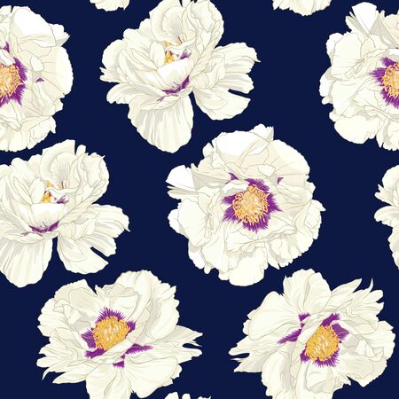 Peony flower. Seamless pattern, background. Colored vector illustration. In botanical style on space blue background..のイラスト素材