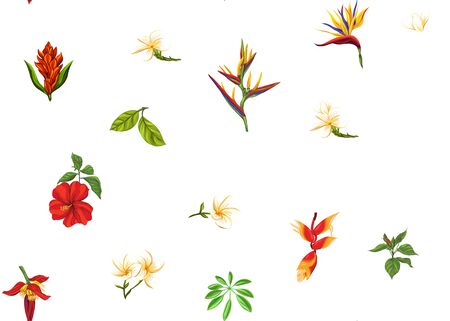 Seamless pattern, background with tropical plants, flowers. Colored vector illustration. Isolated on white background.のイラスト素材