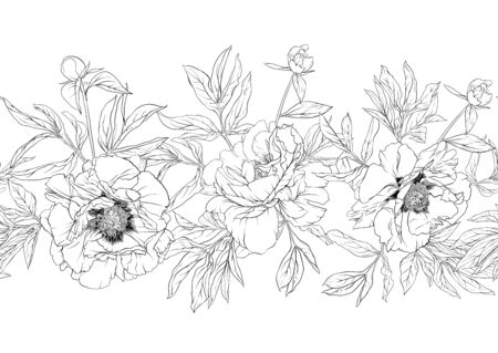 Peony flowers. Seamless pattern, background. Outline hand drawing vector illustration. In botanical style Isolated on white background..のイラスト素材
