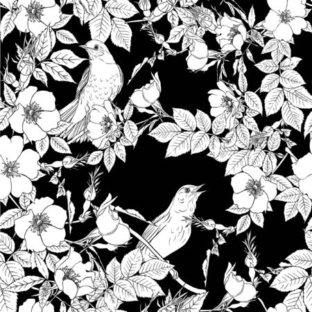 Seamless pattern, background with dog-rose, briar, brier, eglantine, canker-rose and nightingale. Template for wedding invitation, greeting card, gift voucher. Black and white graphics. Vector .のイラスト素材