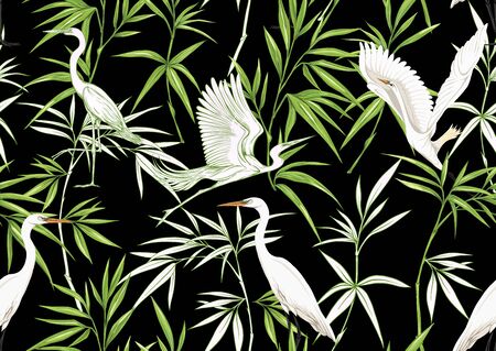 Tropical plants and flowers and birds. Seamless pattern, background. Colored and outline design. Vector illustration. Isolated on black background..のイラスト素材