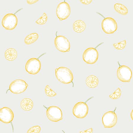 Lemon tree branch with lemons, flowers and leaves. Seamless pattern, background. Outline colored hand drawing vector illustration in soft colors on grey background..のイラスト素材