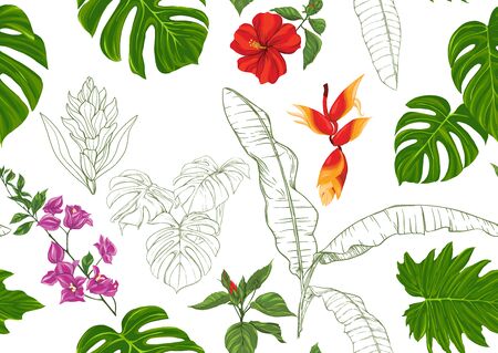 Tropical plants and flowers. Seamless pattern, background. Colored and outline design. Vector illustration. Isolated on white backgroundのイラスト素材