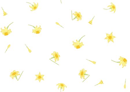 Narcissus. Seamless pattern, background. Colored vector illustration. In art nouveau style, vintage, old, retro style. In soft yellow colors. Isolated on white backgroundのイラスト素材