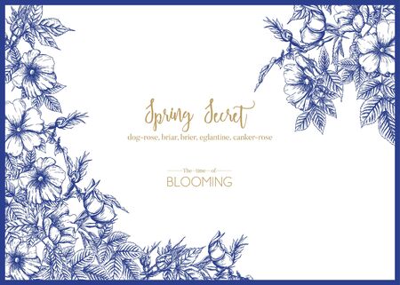 Dog-rose, briar, brier, eglantine, canker-rose. Template for wedding invitation, greeting card, banner, gift voucher. Graphic drawing, engraving style. Vector illustration in blue and white.のイラスト素材