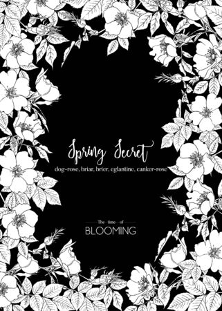 Dog-rose, briar, brier, eglantine, canker-rose. Template for wedding invitation, greeting card, banner, gift voucher. Graphic drawing. Vector illustration in black and white.のイラスト素材