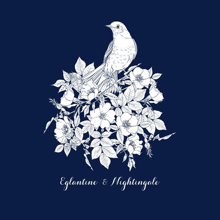 Dog-rose, briar, brier, eglantine, canker-rose and nightingale. Template for wedding invitation, greeting card, gift voucher. Graphic drawing, Vector illustration.のイラスト素材