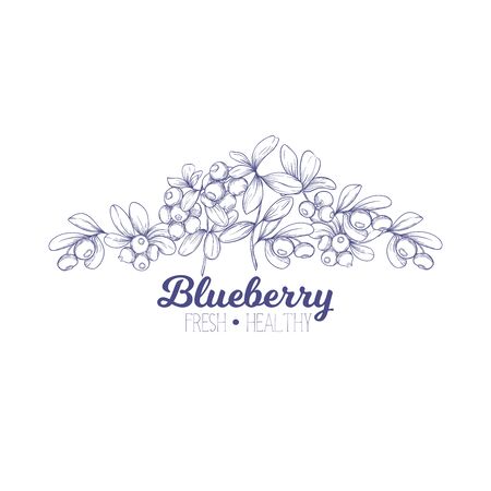 Blueberry. Element for design. Good for product label. Graphic drawing, engraving style. Colored vector illustrationのイラスト素材