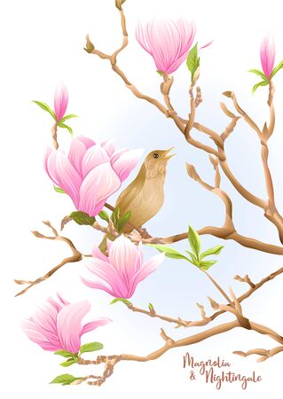 Magnolia tree branch with flowers and nightingale Template for wedding invitation, greeting card, banner, gift voucher, label. Colored vector illustration. Isolated on white background..のイラスト素材