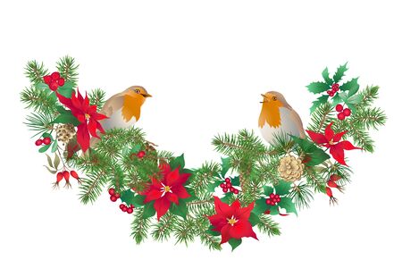 Robin bird - a symbol of Christmas. Christmas wreath of winter plants. Element for design. Colored vector illustration. Isolated on white background..のイラスト素材