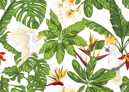 Seamless pattern, background with tropical plants, flowers and birds. Colored vector illustration. Isolated on white background.のイラスト素材
