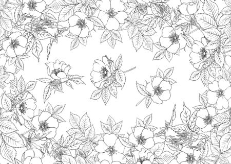 Seamless pattern, background with dog-rose, briar, brier, eglantine, canker-rose . Template for wedding invitation, greeting card, gift voucher. Graphic outline drawing, Vector illustration.のイラスト素材
