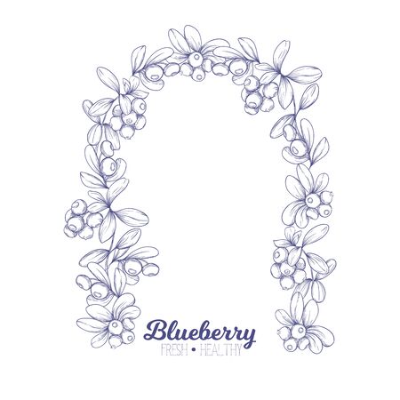Blueberry. Element for design. Good for product label. Graphic drawing, engraving style.のイラスト素材