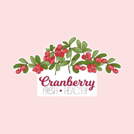 Cranberry. Element for design. Good for product label. Colored vector illustrationのイラスト素材