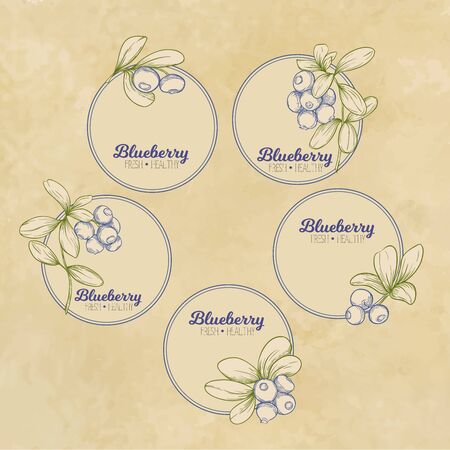 Blueberry. Element for design. Good for product label. Graphic drawing, engraving style. Colored vector illustration. On kraft background..のイラスト素材