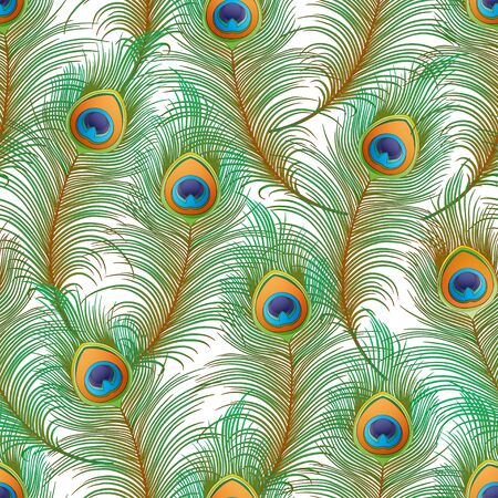 Peacock feathers Seamless pattern, background. Colored vector illustration isolated on white backgroundのイラスト素材