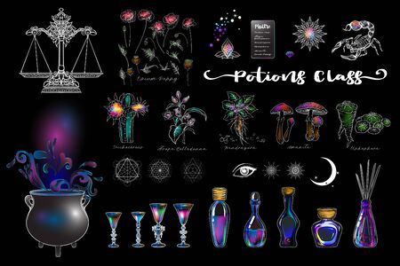 Clip art, set of elements for potions class with cauldron, wine glasses, bottles, magician plants and sacred geometry and symbols. Colored vector illustration..のイラスト素材