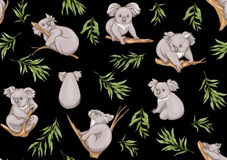 Koala bear seamless pattern. Colored vector illustration. Isolated on black background.のイラスト素材