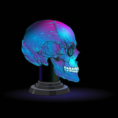 Human skulls for witchcraft. Elements for design. Colored vector illustration..のイラスト素材