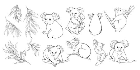 Koala and eucalyptus. Clip art, set of elements for design. Vector illustration..のイラスト素材