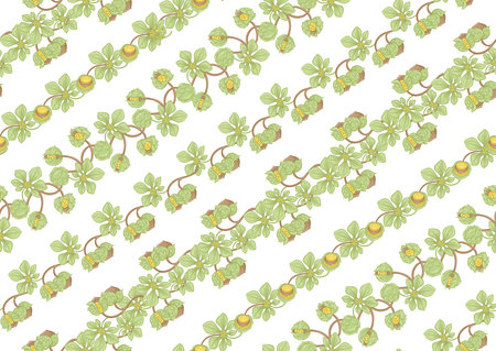 Hazelnut. Decorative motif. Seamless pattern, background. Colored vector illustration. In art...