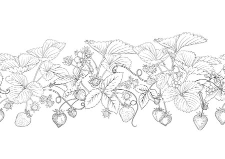 Strawberry. Ripe berries. Seamless pattern, background. Outline vector illustration. In botanical style Isolated on white background..のイラスト素材