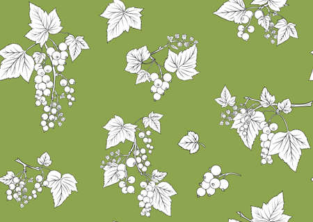Blackcurrant red ribes. Ripe berries. Seamless pattern, background. Vector illustration. In botanical style on green backgroundのイラスト素材