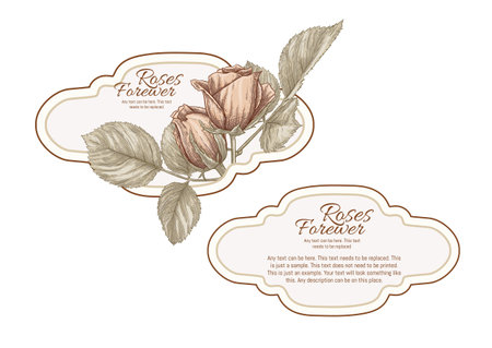 Set of face and back labels, stickers for food products or cosmetics in engraving, vintage, old, retro shabby chic style.. Stock vector illustration.のイラスト素材